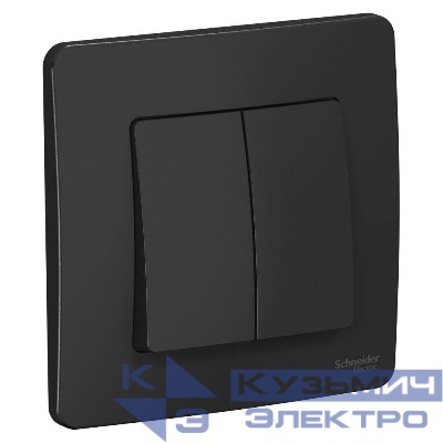 Выключатель 2-кл. СП Blanca 10А IP20 (сх. 5) 250В антрацит SE BLNVS010506