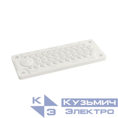 Ввод кабельный пластик V0 UL94 IP65 +100 -40град. 43 отверстия FL21 DKC R5HTKC43