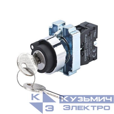 Переключатель NP2-BG41 2 положения возвратом 1НО IP40 (R) CHINT 573987