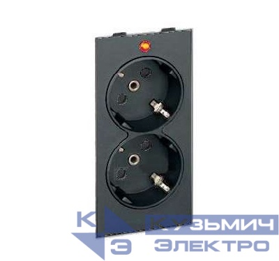 Розетка 2-м СП Simon Connect 16А IP20 250В 2х2P+E с заземл. с индикацией S-модуль механизм графит Simon S1-14