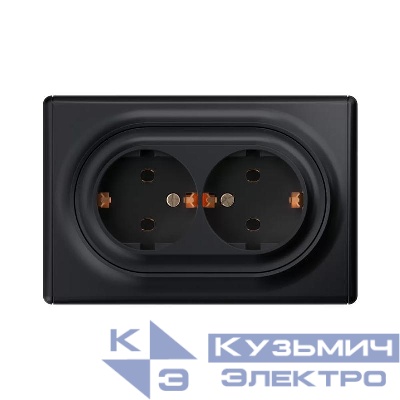 Розетка 2-м СП Florence 16А IP20 с заземл. винт. клеммы черн. 1E10401303 OneKeyElectro 2172813