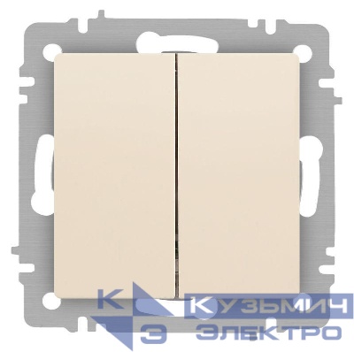 Выключатель 2-кл. СП Accent 6-104-02 10А IP20 250В AL/CU сл. кость Intro Б0063482