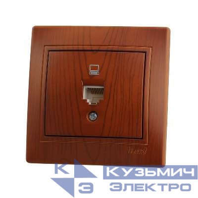Розетка компьютерная 1-м СП Mira RJ45 16А IP20 сосна LEZARD 701-0801-139