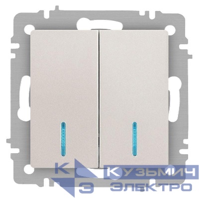 Выключатель 2-кл. СП Accent 6-105-06 10А IP20 250В с подсветкой AL/CU перламутр. Intro Б0063519