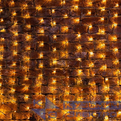 Гирлянда светодиодная "Сеть" 2х1.5м 288LED тепл. бел. 24Вт IP65 провод ПВХ черн. Neon-Night 215-026