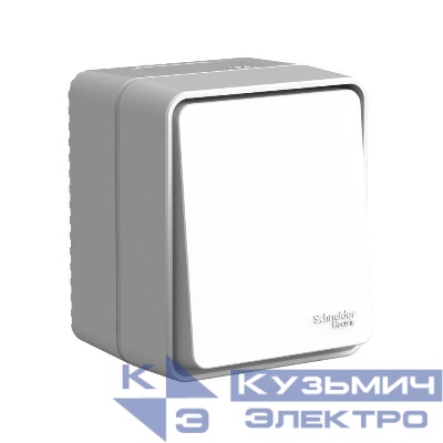 Переключатель проходной 1-кл. ОП AtlasDesign PROFI IP54 10АХ сер. SE ATN543061