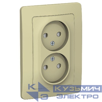 Розетка 2-м СП Blanca 16А IP20 250В без заземл. защ. шторки беж. SE BLNRS000127