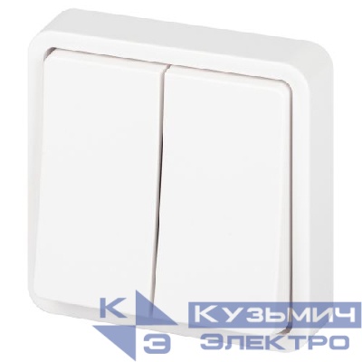 Переключатель Эксперт 11-1526-01 двойн. IP55 10АХ-250В СУ бел. Эра Б0063248