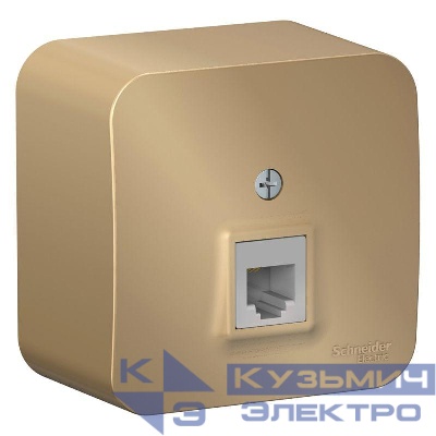 Розетка телефонная 1-м ОП Blanca RJ11 с изолир. пластиной титан SE BLNIA011004