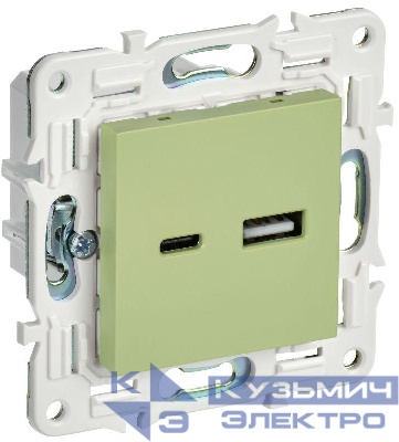 Розетка USB A+C 3.1А SKANDY SK-R14G мятный IEK SK-U22-D31-K06