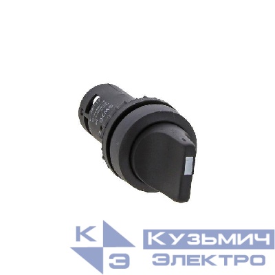 Переключатель SW2C-11-X/2 2P NO +NC EKF sw2c-11x/2
