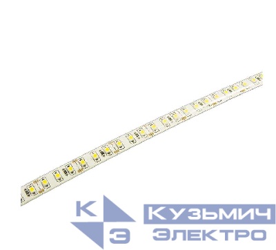 Лента светодиодная PLS 2835/120-12V 12Вт/м 6500К холод. бел. IP65 (уп.5м) JazzWay 2859099