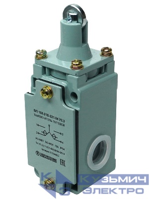 Выключатель конечн. ВП 15К-21Б-221-54 У2.3 толкатель с роликом; полумгновенный IP54 Электротехник ET004423