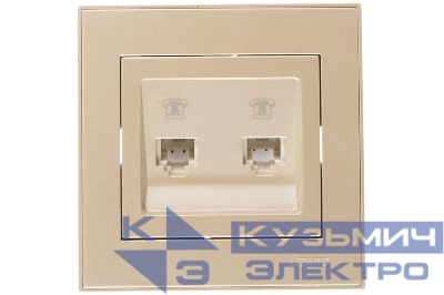 Розетка телефонная 2-м СП Rain RJ11 жемчуж./бел. перламутр. LEZARD 703-3030-138