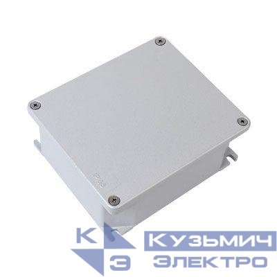 Коробка ответвительная 294х244х114мм IP66 RAL9006 окрашен. алюм. DKC 65305