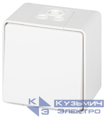Переключатель Эксперт 11-1503-01 IP55 10АХ-250В ОУ бел. Эра Б0063301