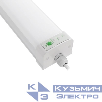 Светильник светодиодный PWP-C3-E1 600 18Вт 6500К IP65 2160лм с БАП ДСП Pro+ JazzWay 5065246