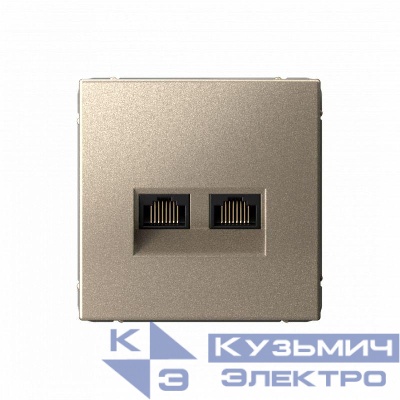 Розетка компьютерная 2-м ArtGallery RJ45 + RJ45 кат.5E механизм шампань SE GAL000585