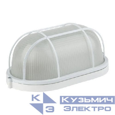 Светильник "Акватермо" НБП 04-100-002 max 100Вт E27 IP54 280х160 алюм./стекло решетка инд. упак. ЭРА Б0048426