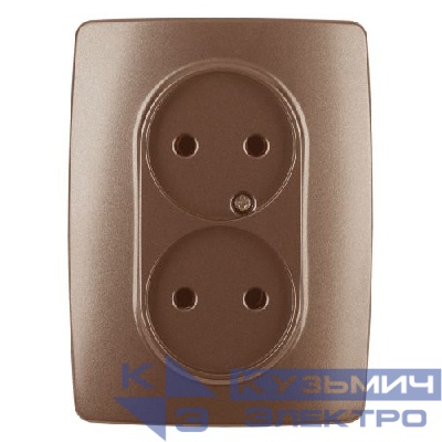 Розетка 2-м СП Эра12 12-2107-14 16А IP20 16AX 250В 2х2P медь Эра Б0031246