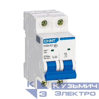 Выключатель автоматический модульный 2п C 4А 6кА NXB-63 (R) CHINT 814089
