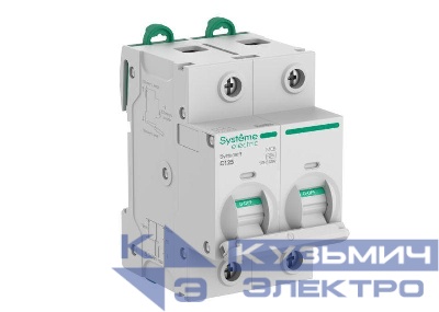 Выключатель автоматический 2п C 125А 10кА Systeme9 400В 27мм SE S9H32292