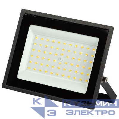Прожектор светодиодный LPR-023-0-30K-050 50Вт 3000К 4000Лм IP65 уличный Эра Б0052859