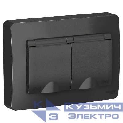 Розетка 2-м СП Blanca 16А IP44 250В с заземл. защ. шторки с крышкой антрацит SE BLNRS441126