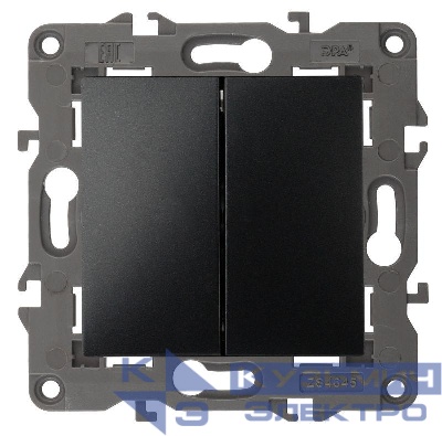 Выключатель 2-кл. СП Elegance 14-1104-05 10А IP20 250В 10AX механизм антрацит Эра Б0034234