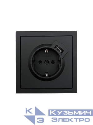 Розетка 1-мест. с/з+USB разъем СП ZIMA IP20 черн. бархат LEZARD 704-4288-181