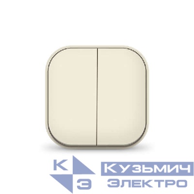 Выключатель 2-кл. 1п ОП 10А IP20 сл. кость IONICH 1425