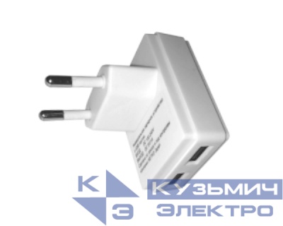 Домашнее универсальное зарядное устройство USB, 2 порта, 5В, выходная сила тока 1А, белый, п/пакет, Netko РАСПРОДАЖА