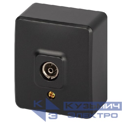 Розетка 1-м ОП Эксперт 11-3201-05 TV IP20 антрацит Эра Б0063024