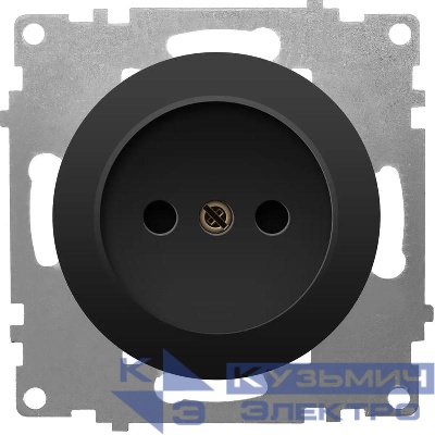 Розетка 1-м СП Florence 16А IP20 без заземл. винтов. клеммы механизм черн. (1E10301303) OneKeyElectro 2172812