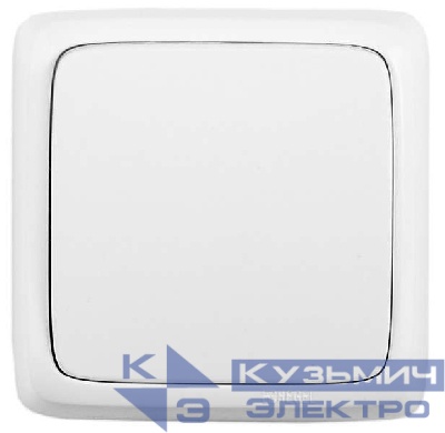 Переключатель 1-кл. ОП Альфа 16А IP20 250В с изолир. пластиной бел. HEGEL ВА16-163