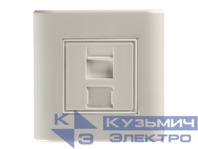 T1.1 - Рамка для внутренней розетки 80х80мм (французский тип)  со вставкой под 1 модуль, металлические скобки